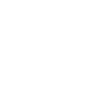 icons8-project-manager-90